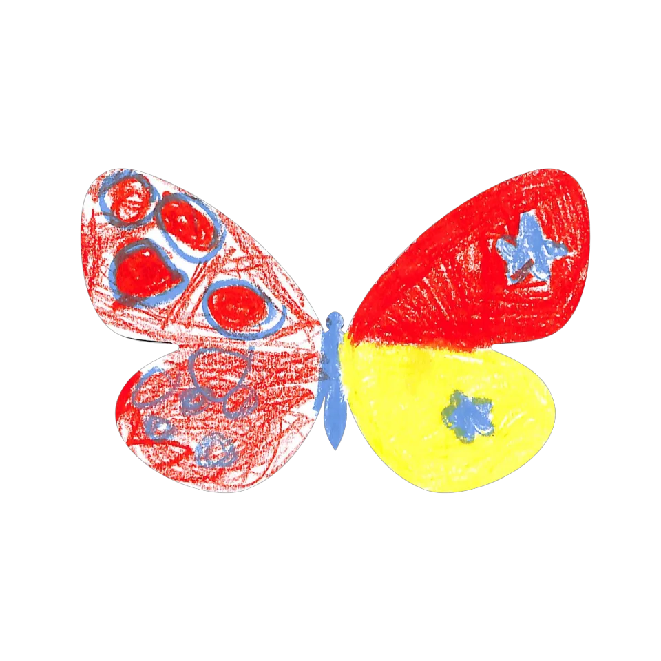 Original Butterfly Image