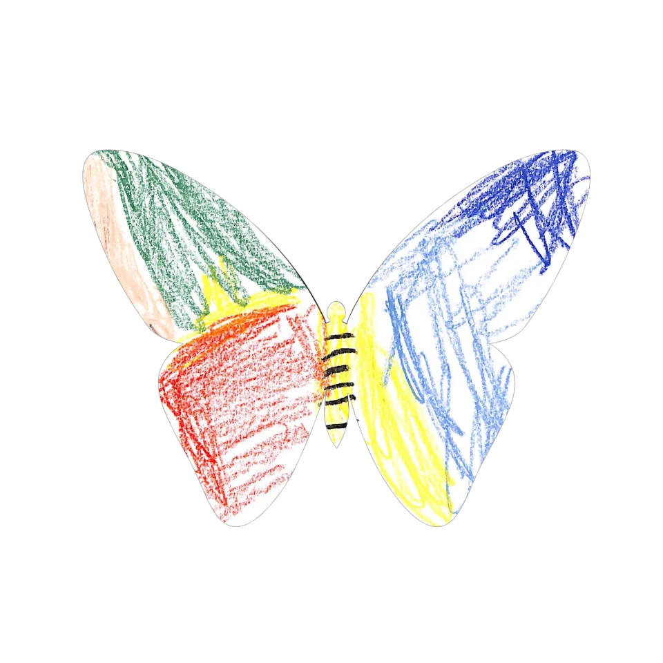 Original Butterfly Image