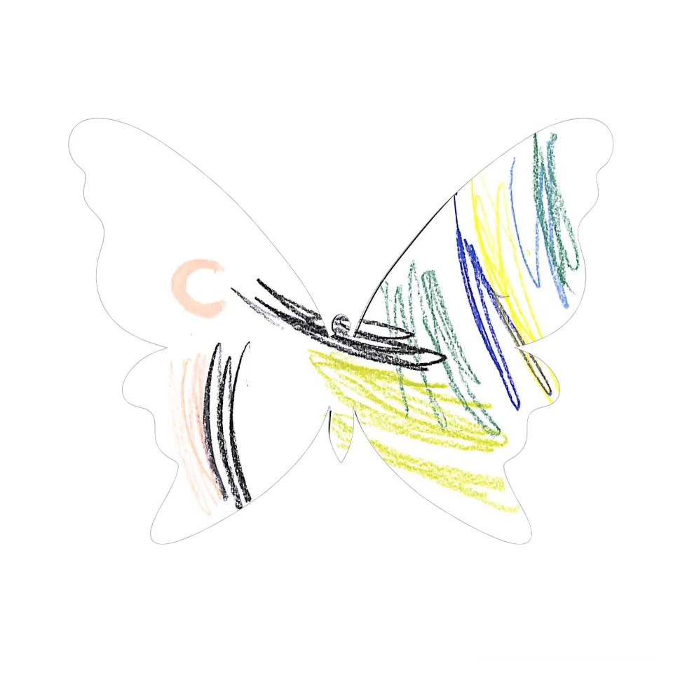 Original Butterfly Image