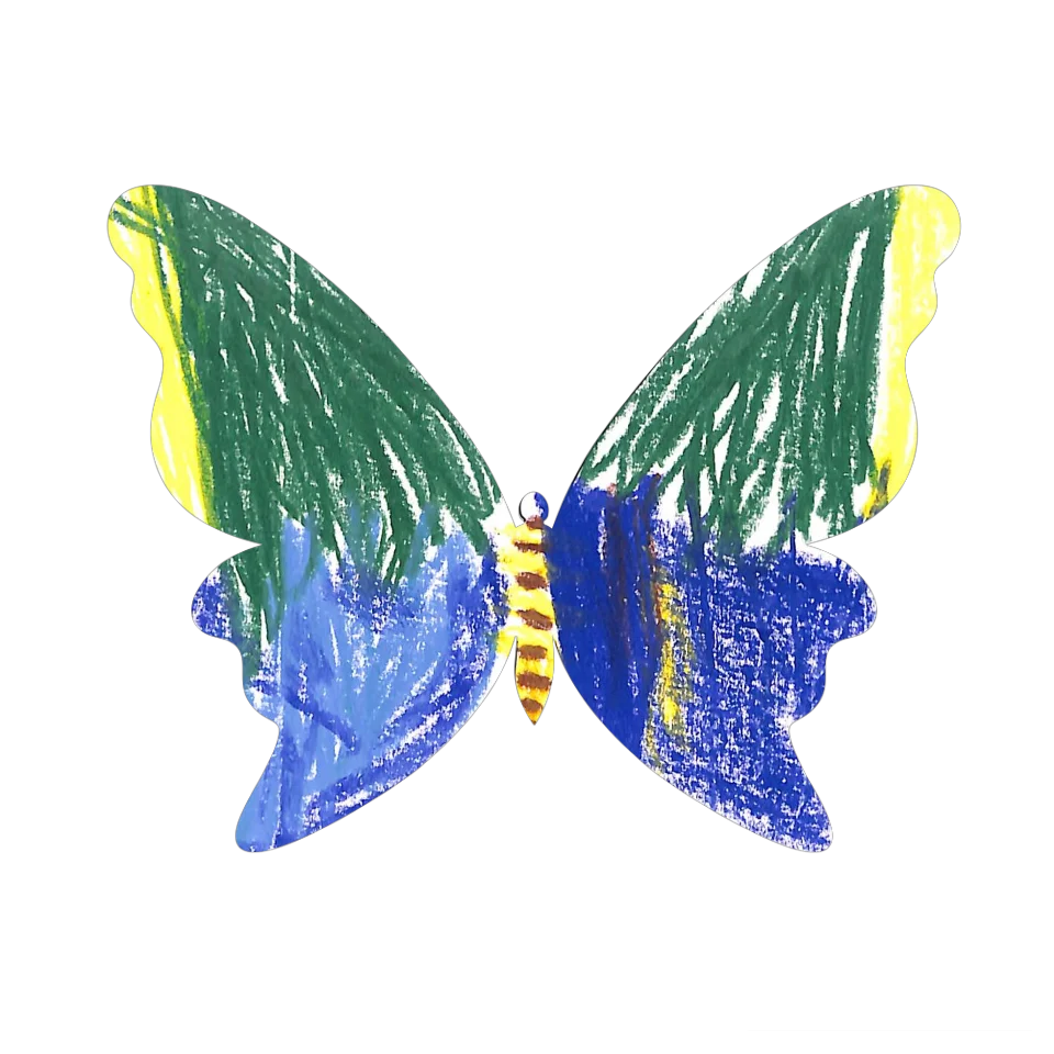 Original Butterfly Image