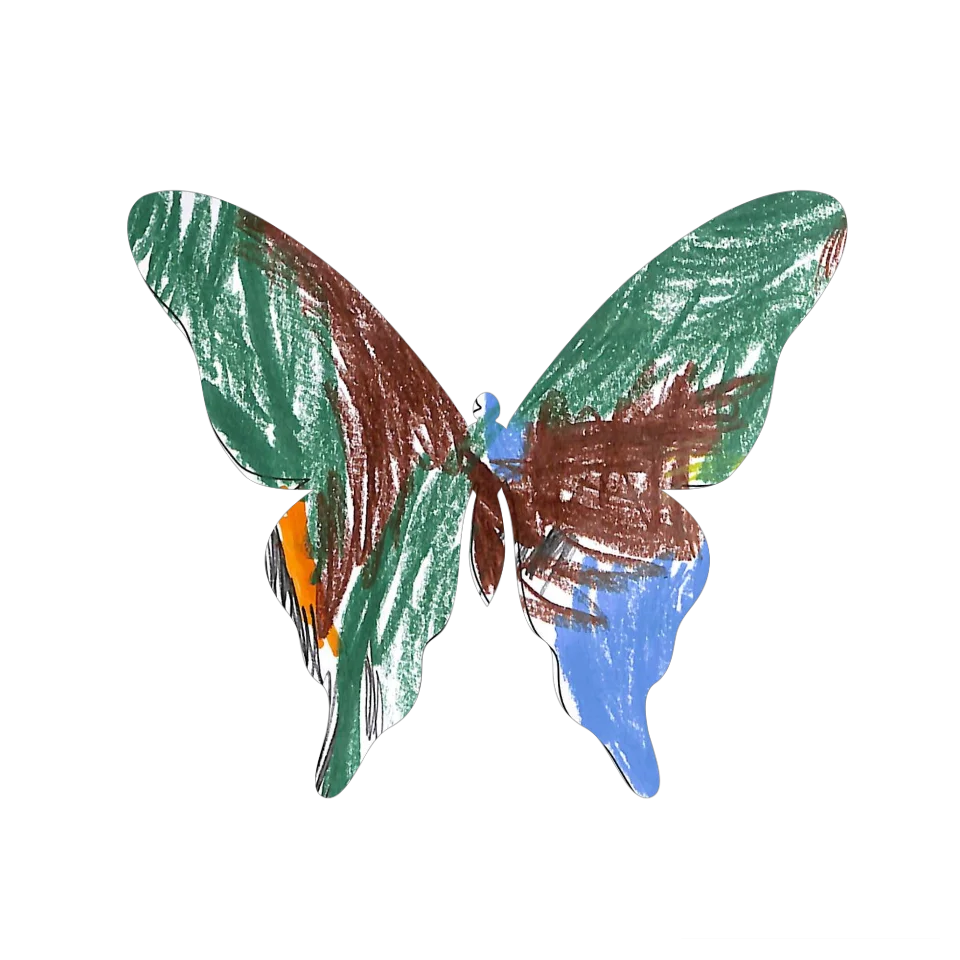 Original Butterfly Image