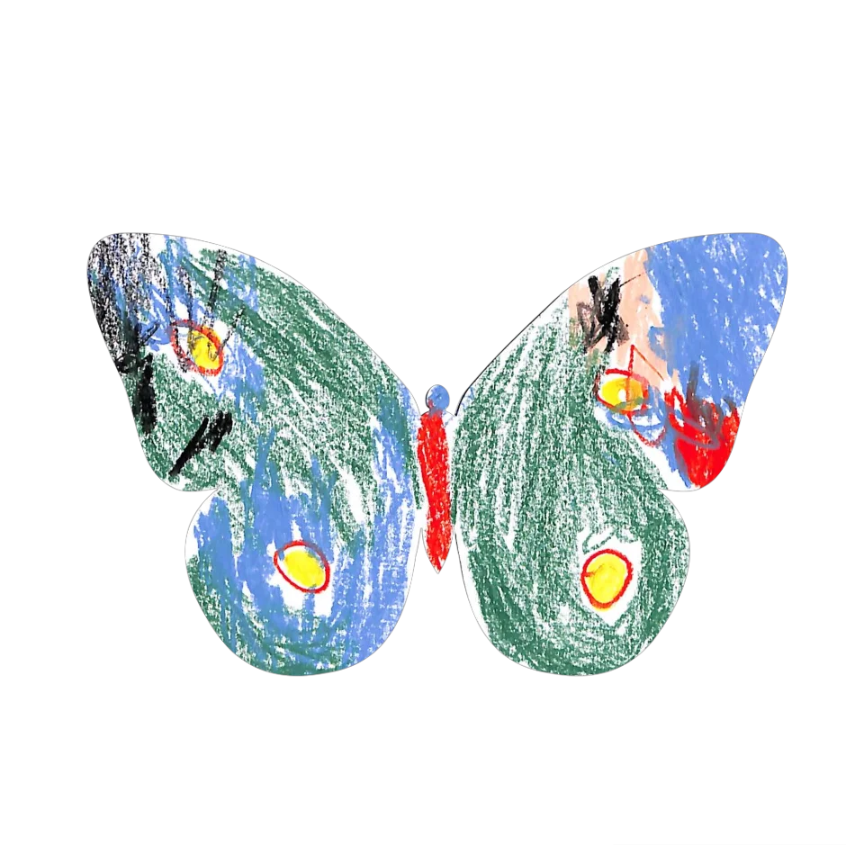 Original Butterfly Image