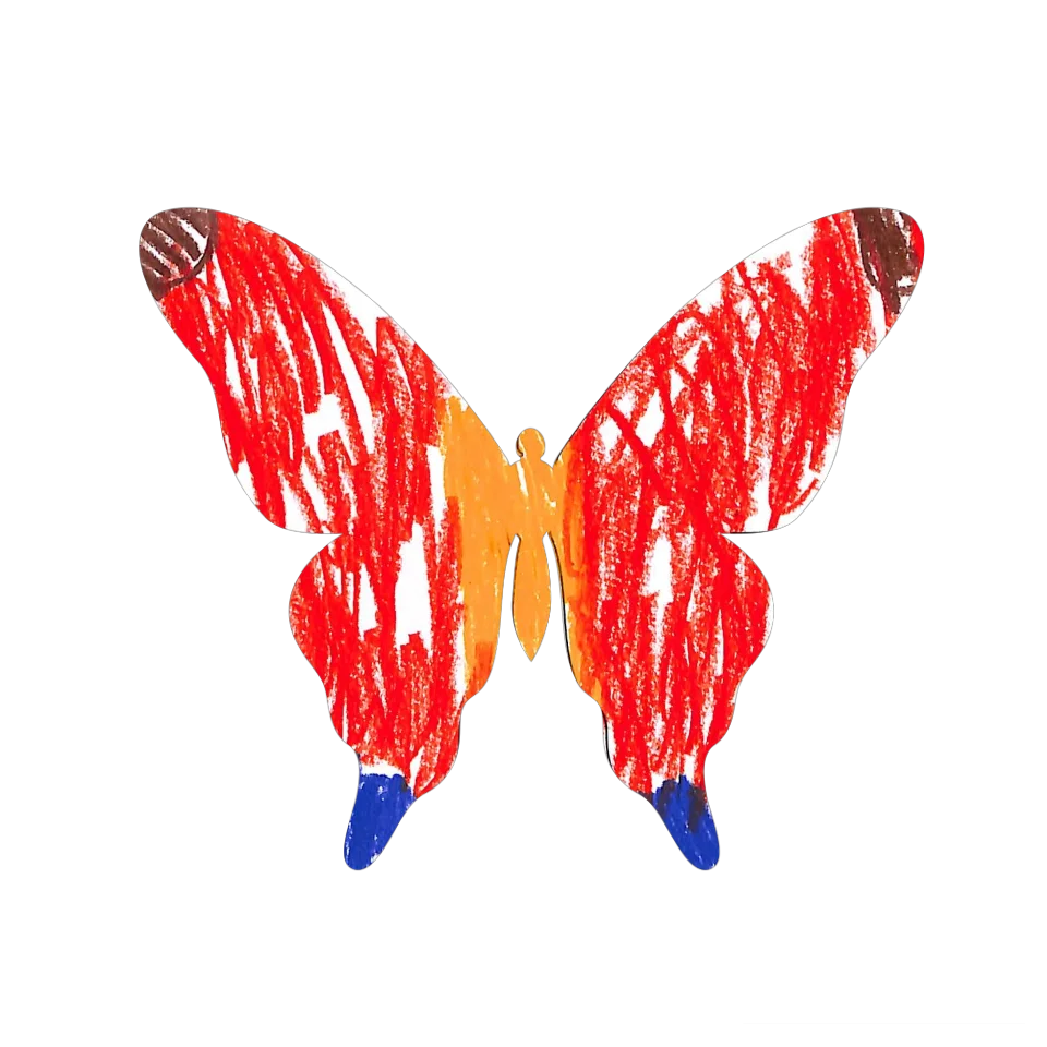Original Butterfly Image