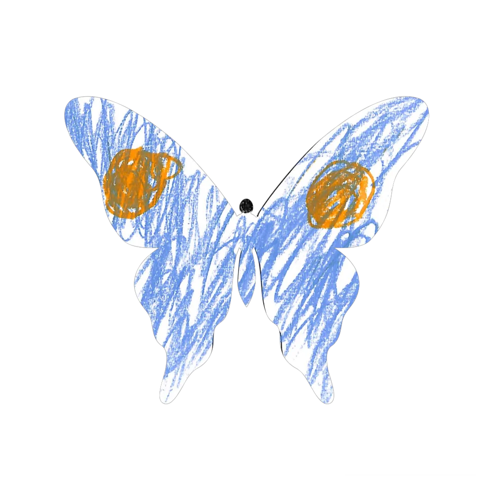 Original Butterfly Image