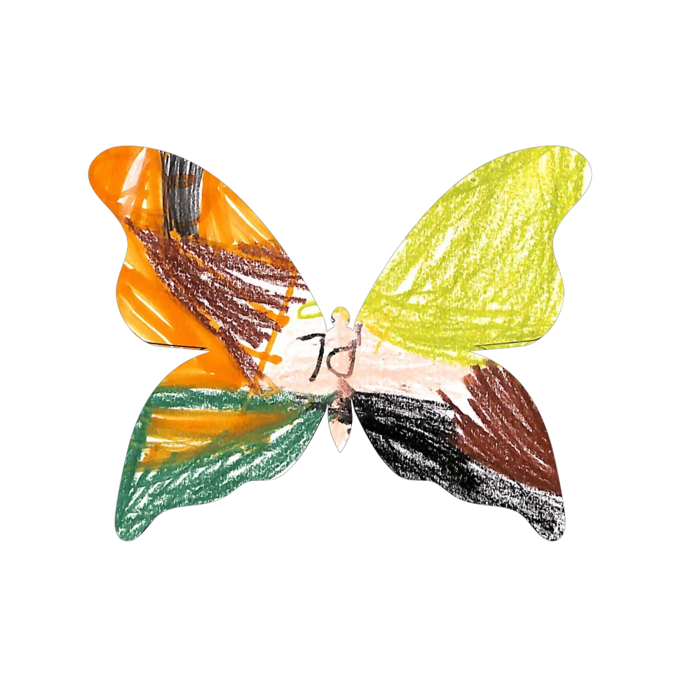 Original Butterfly Image