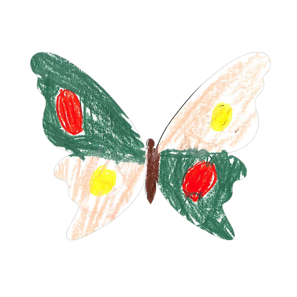 Original Butterfly Image
