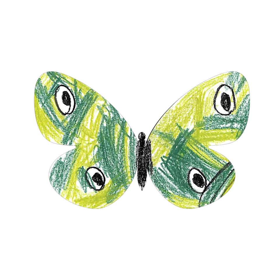 Original Butterfly Image