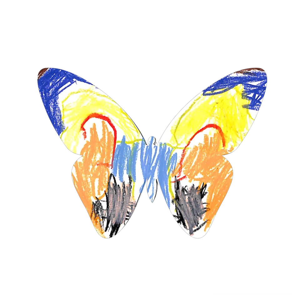 Original Butterfly Image