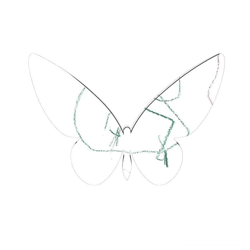 Original Butterfly Image