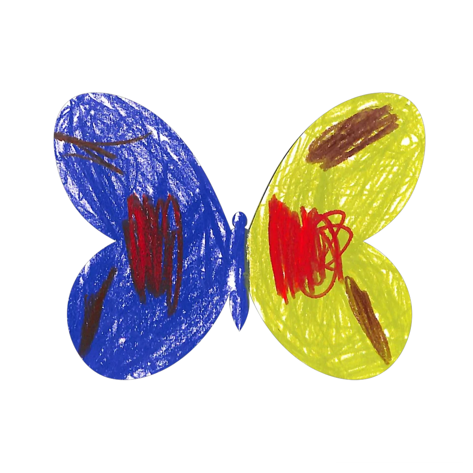 Original Butterfly Image