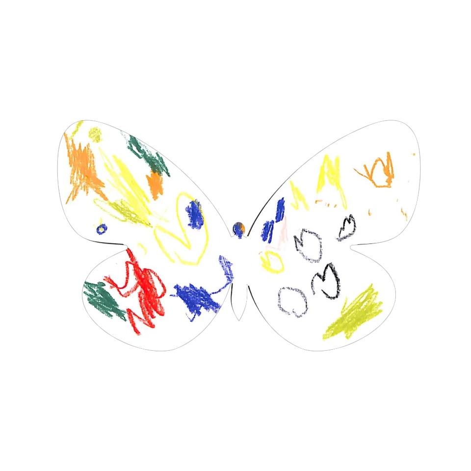 Original Butterfly Image