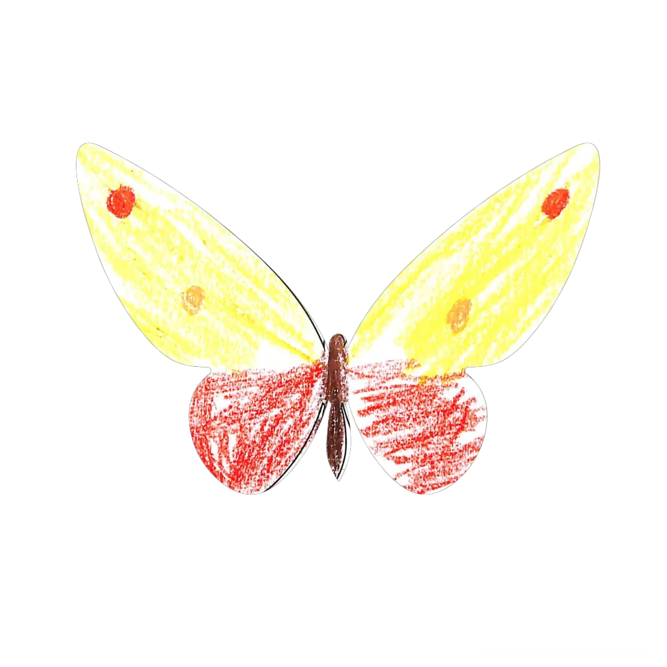 Original Butterfly Image