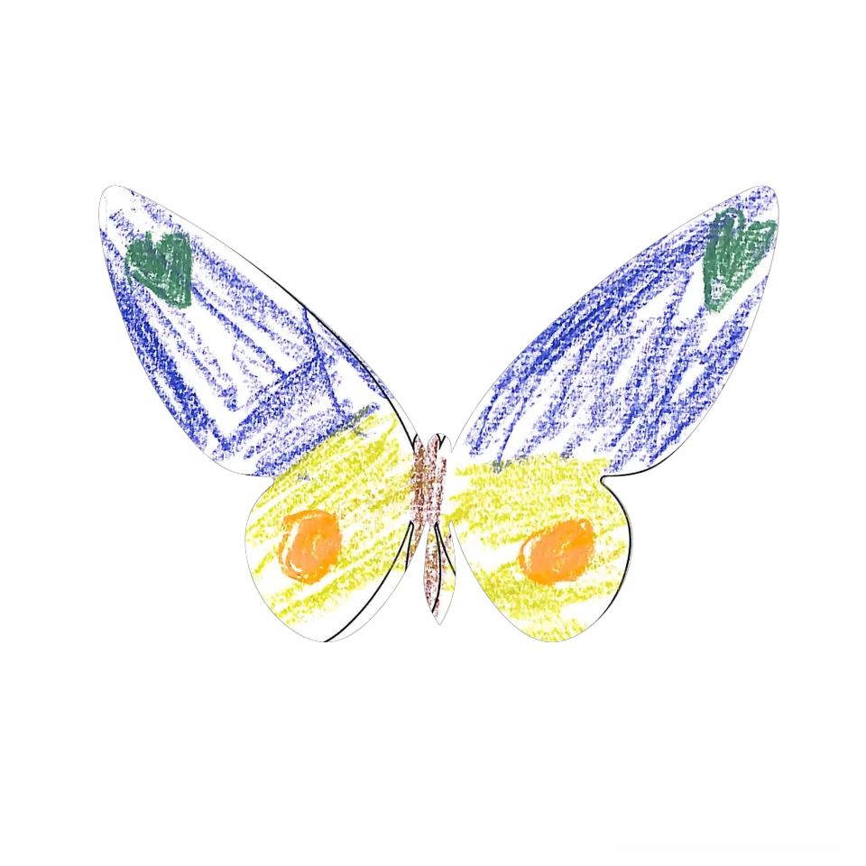 Original Butterfly Image