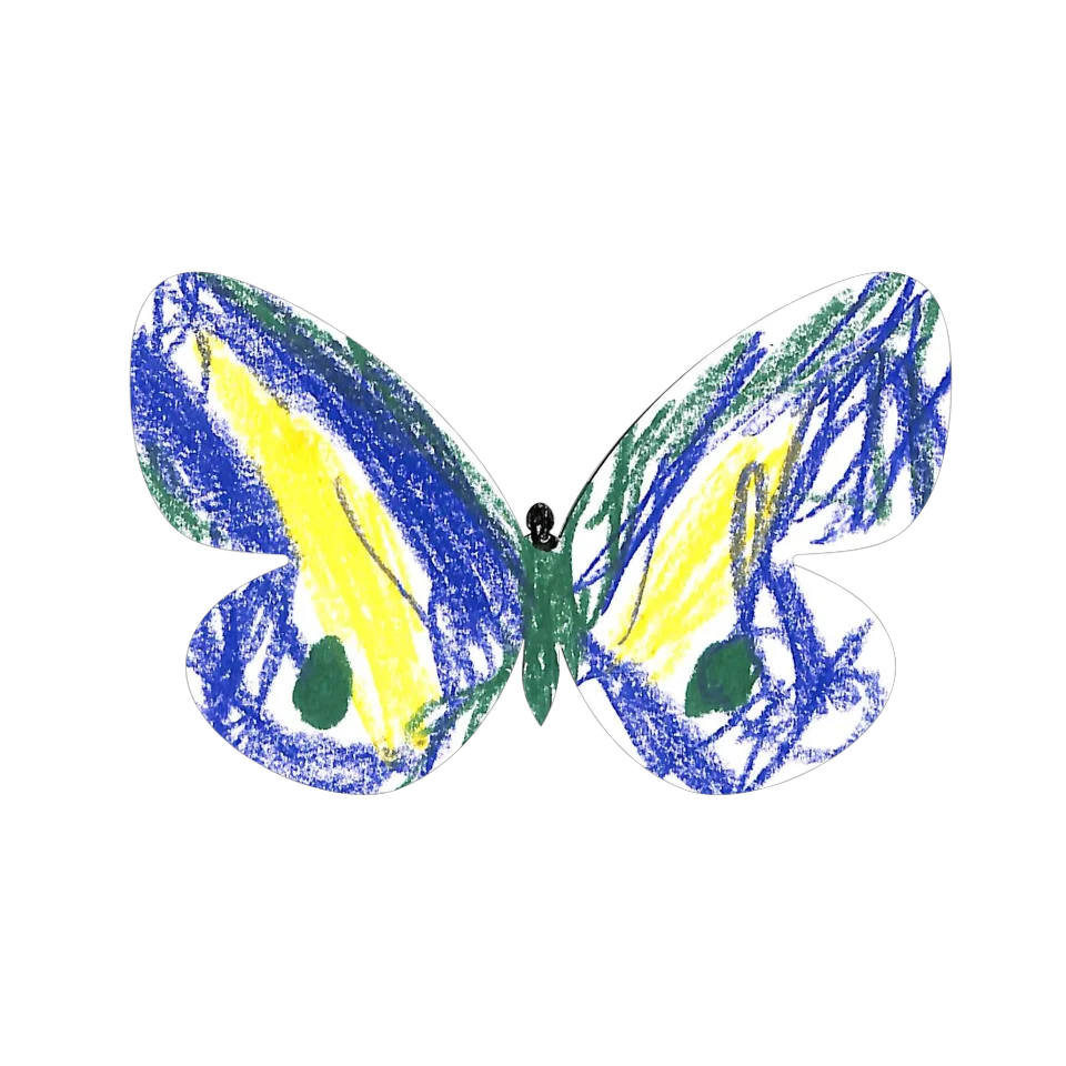 Original Butterfly Image