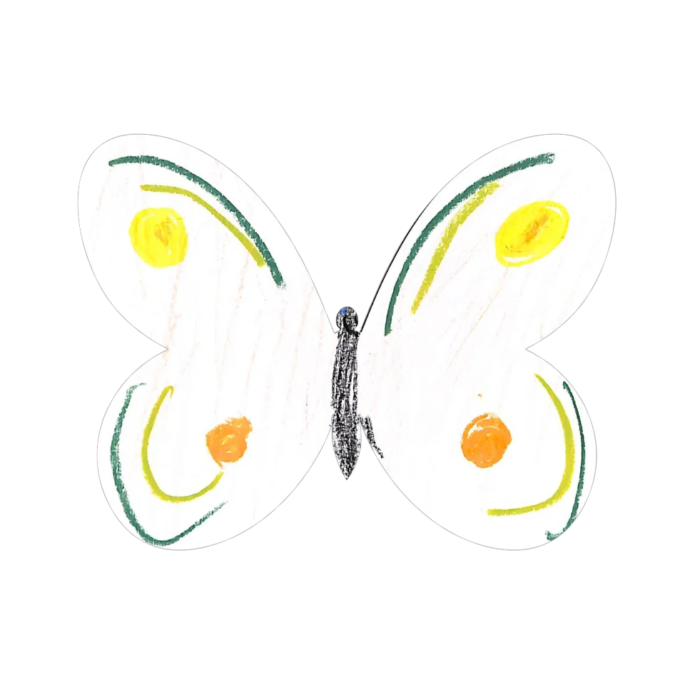 Original Butterfly Image