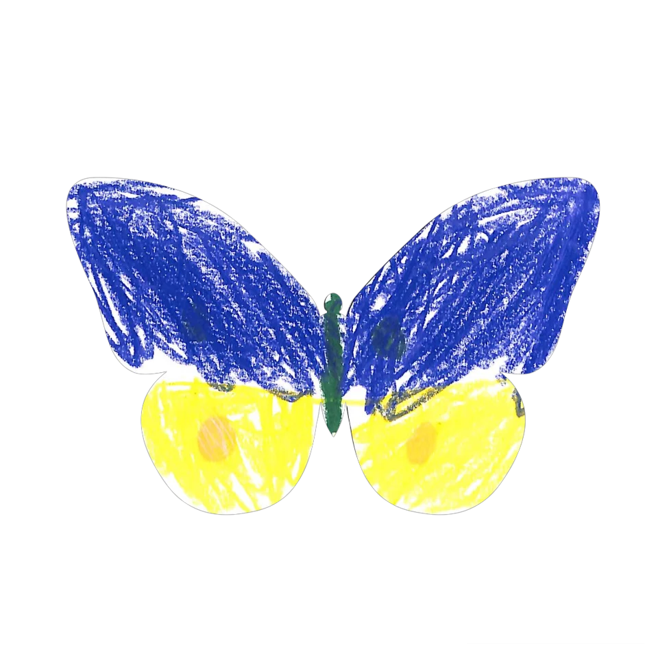 Original Butterfly Image