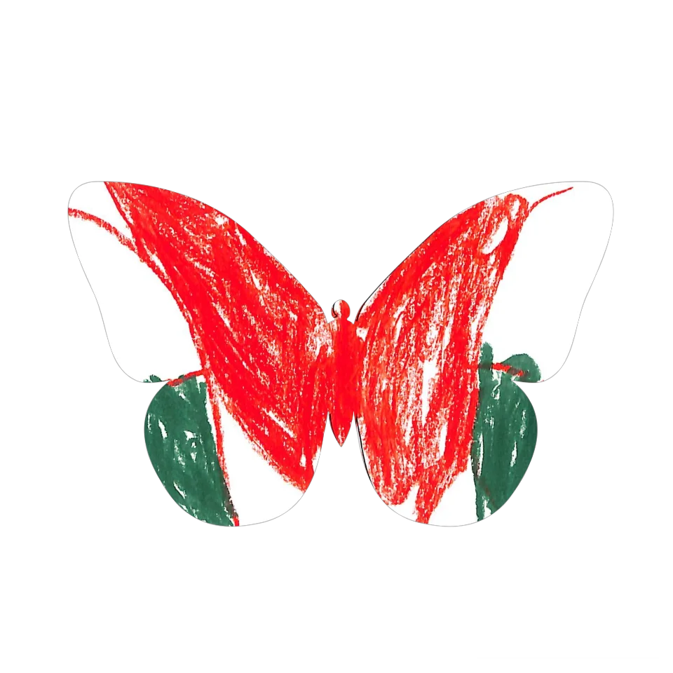 Original Butterfly Image