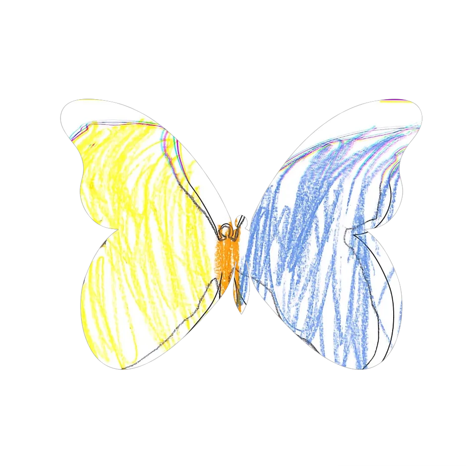 Original Butterfly Image