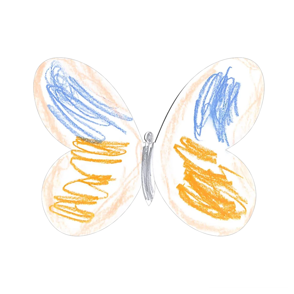 Original Butterfly Image