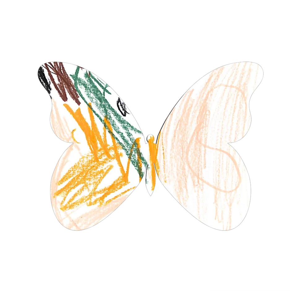 Original Butterfly Image