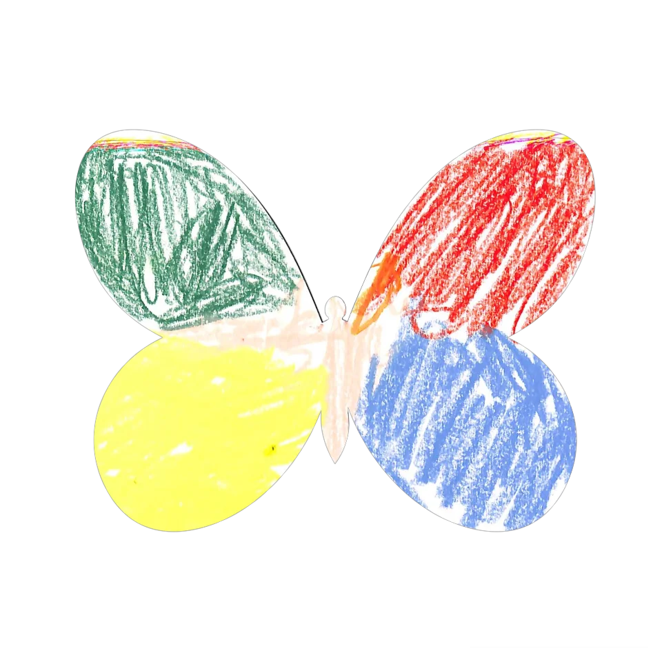 Original Butterfly Image
