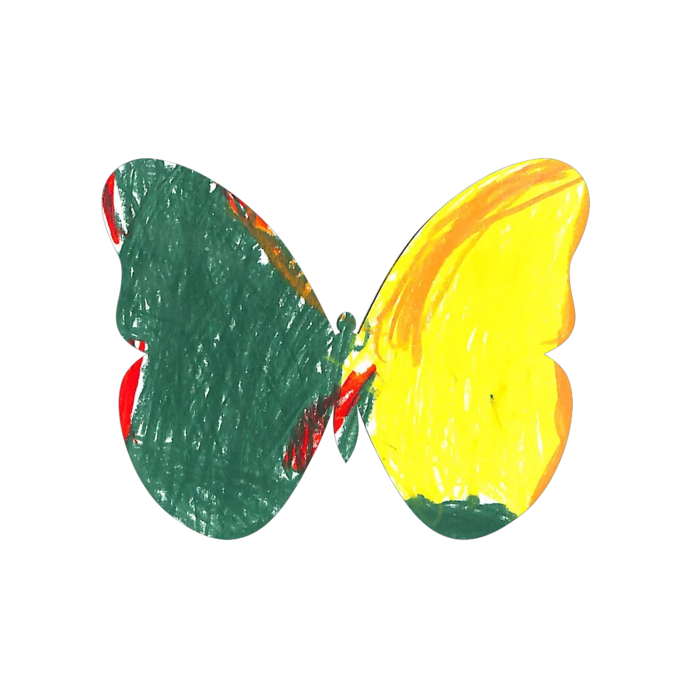 Original Butterfly Image