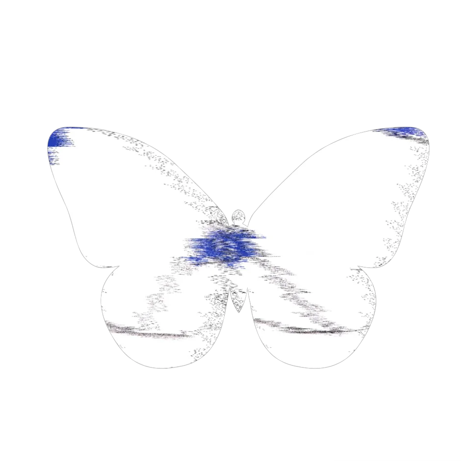 Original Butterfly Image