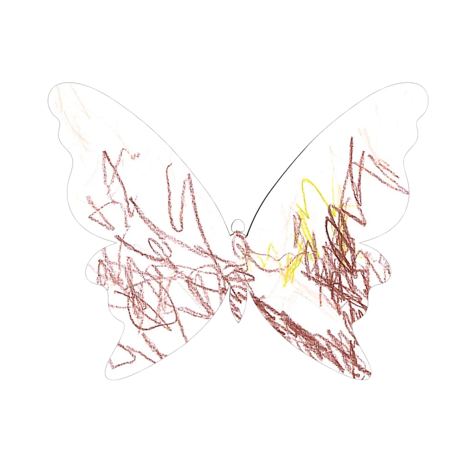 Original Butterfly Image