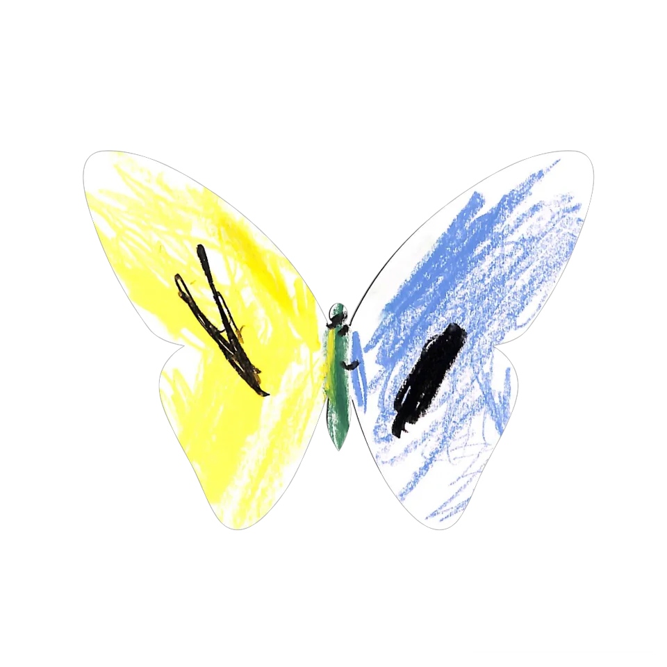 Original Butterfly Image
