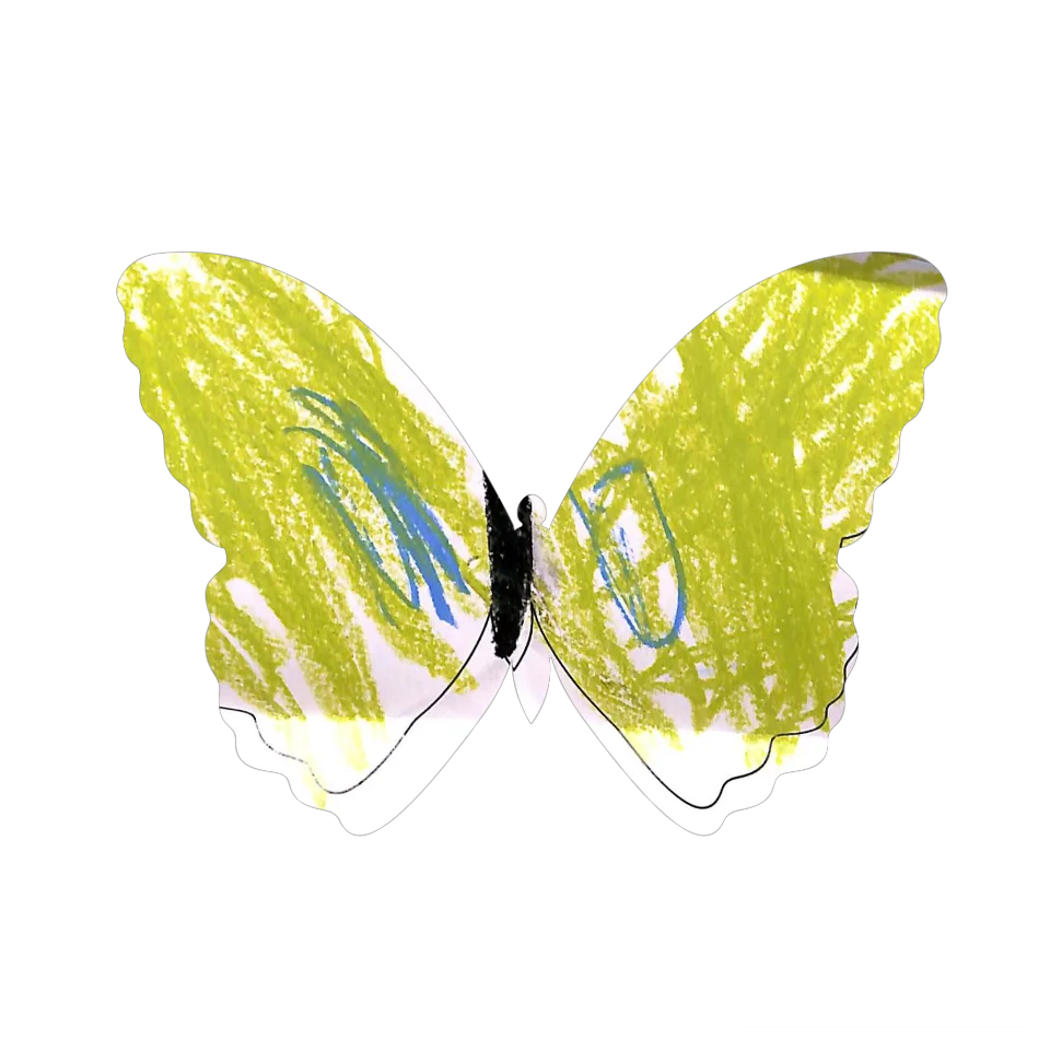 Original Butterfly Image