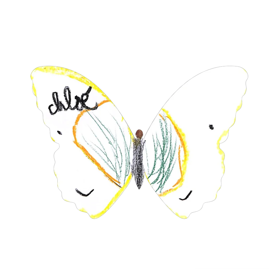 Original Butterfly Image