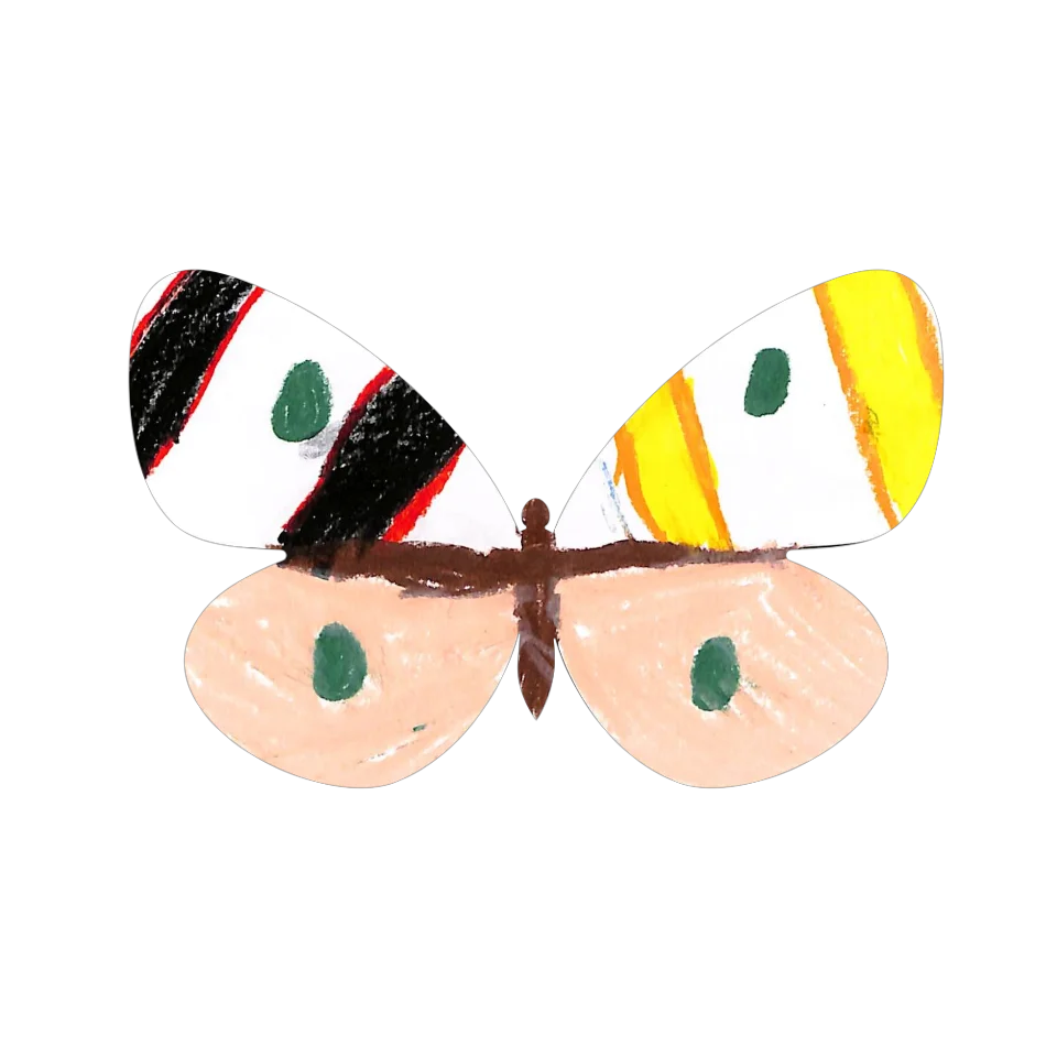 Original Butterfly Image