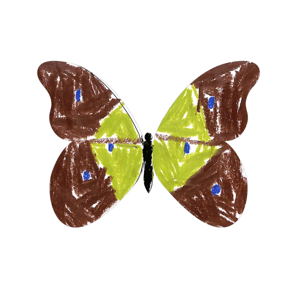 Original Butterfly Image