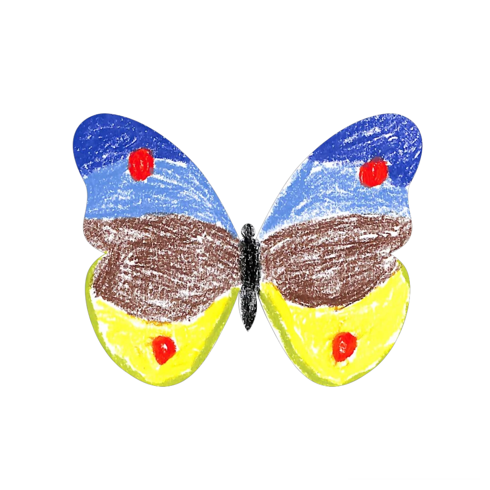 Original Butterfly Image