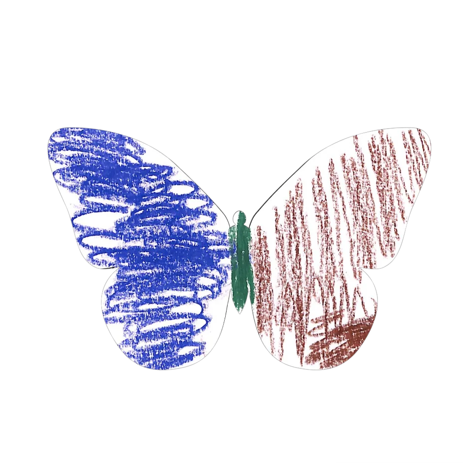 Original Butterfly Image