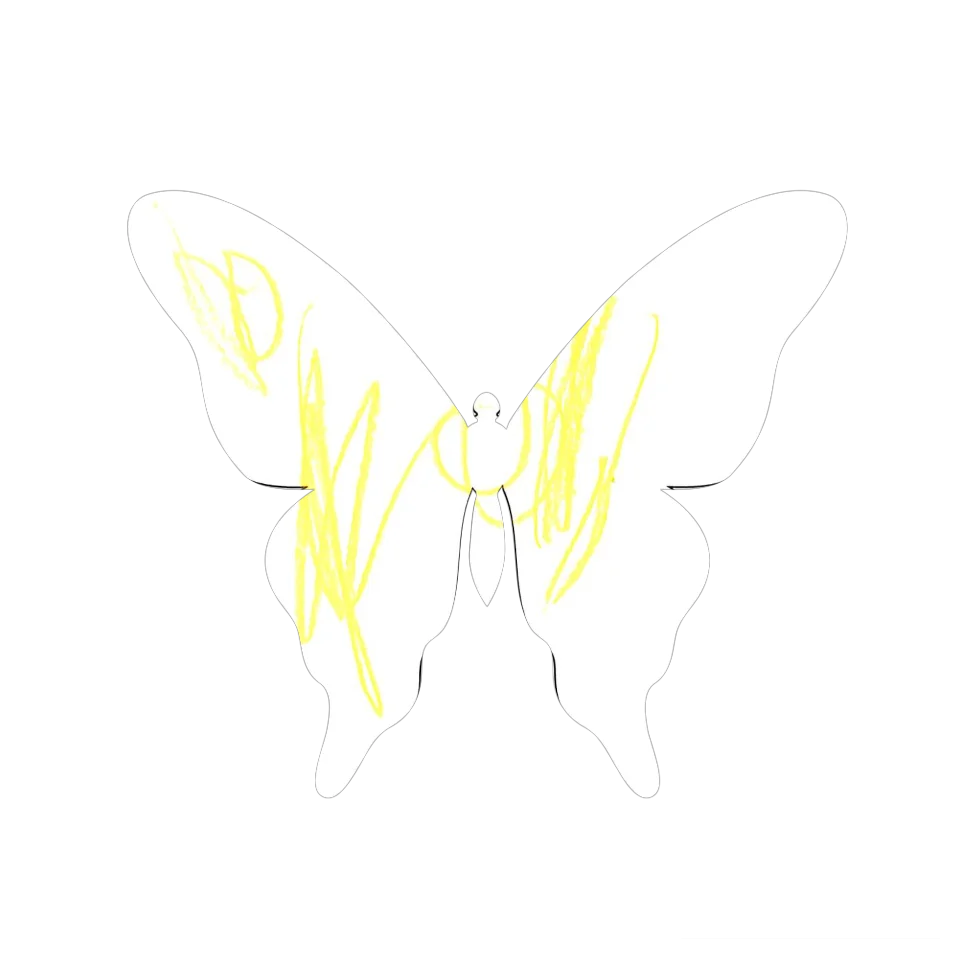Original Butterfly Image