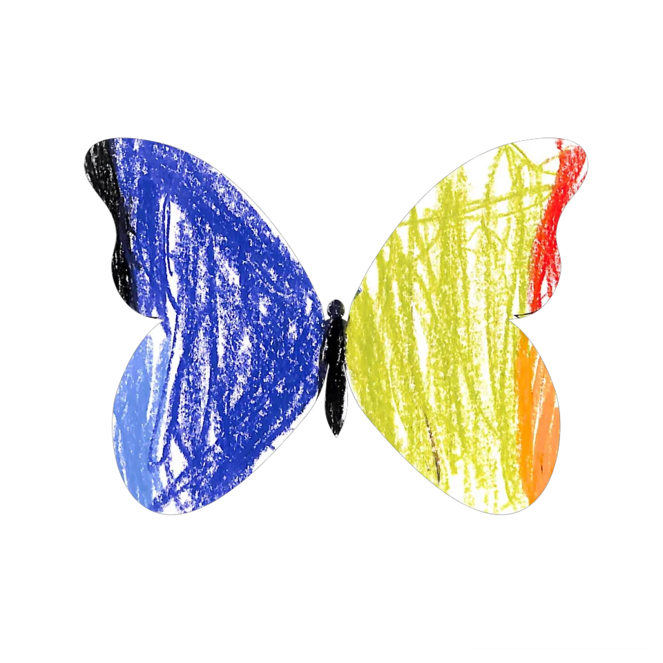 Original Butterfly Image