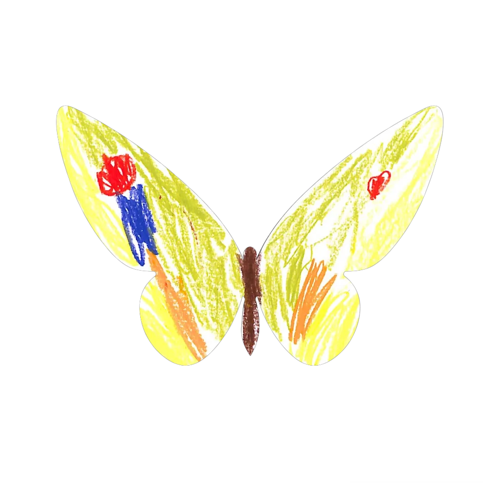 Original Butterfly Image