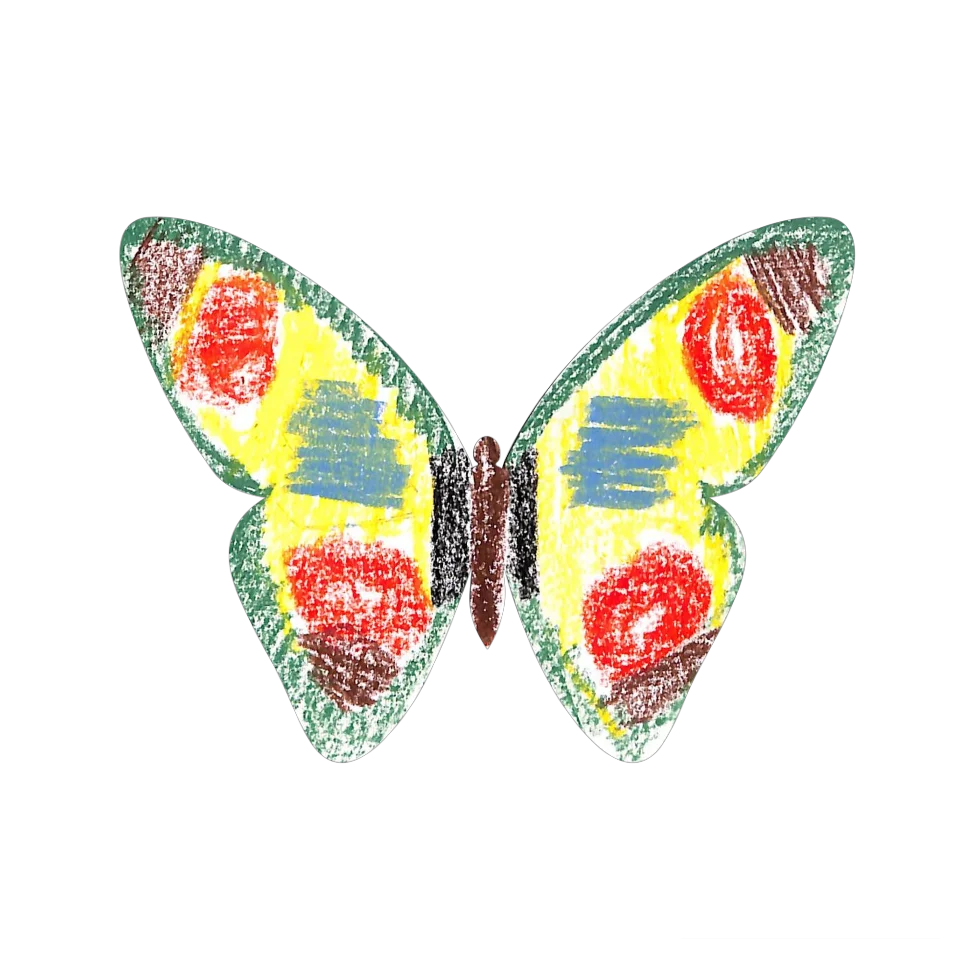 Original Butterfly Image