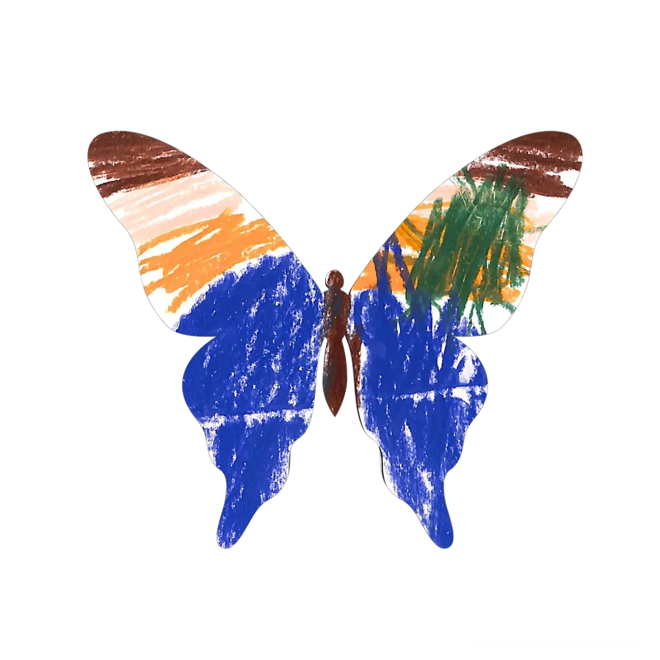 Original Butterfly Image