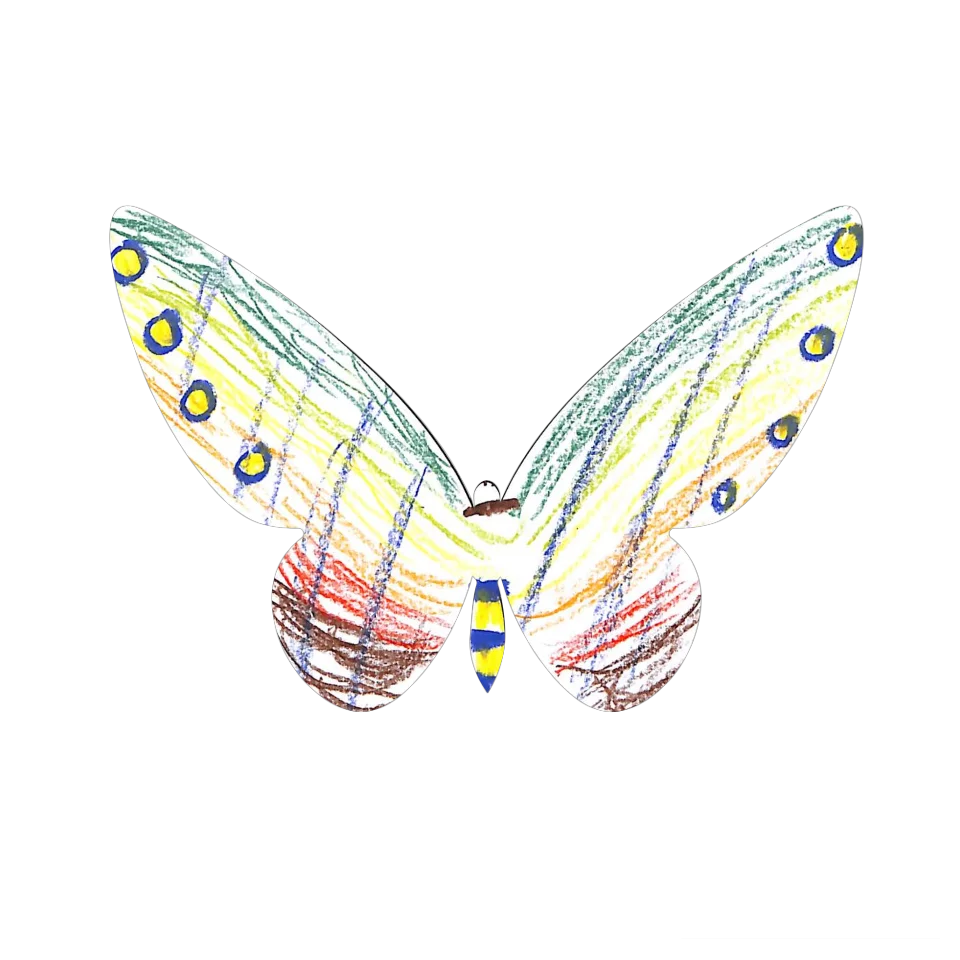Original Butterfly Image
