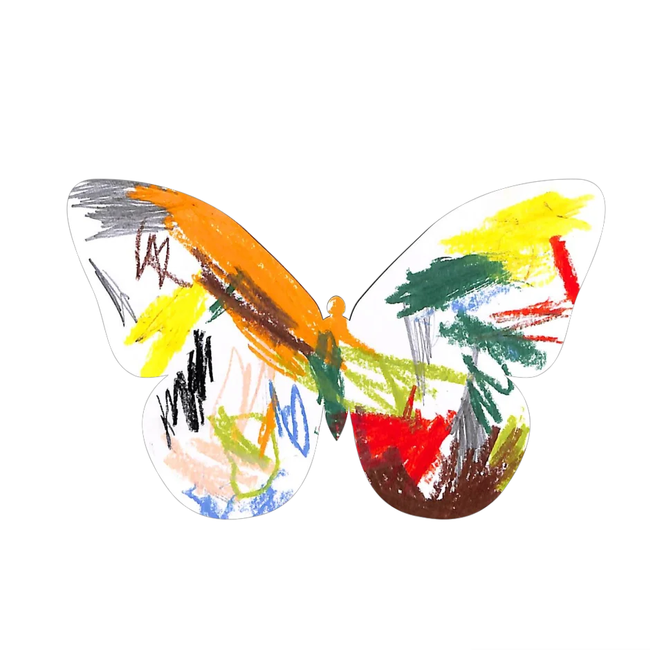 Original Butterfly Image