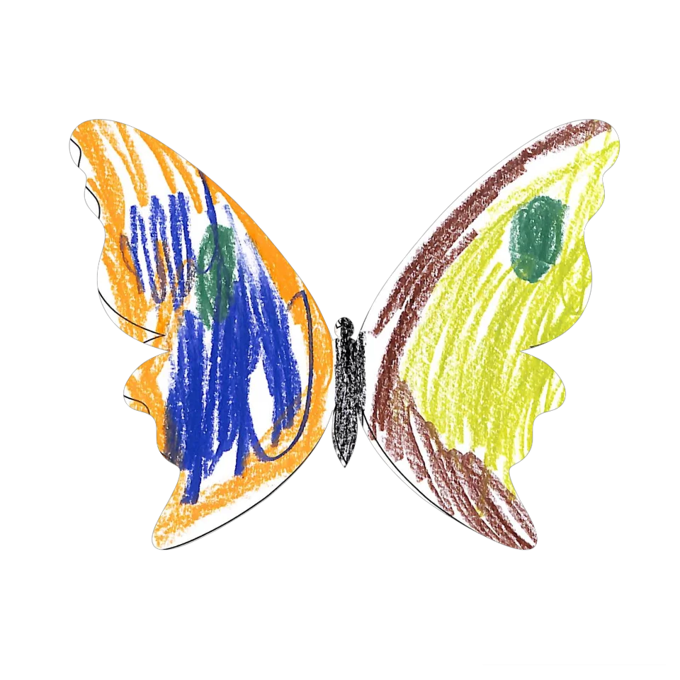 Original Butterfly Image