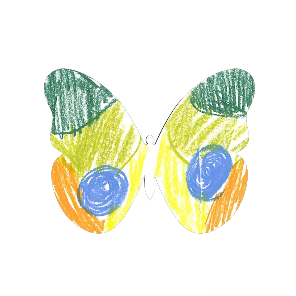 Original Butterfly Image