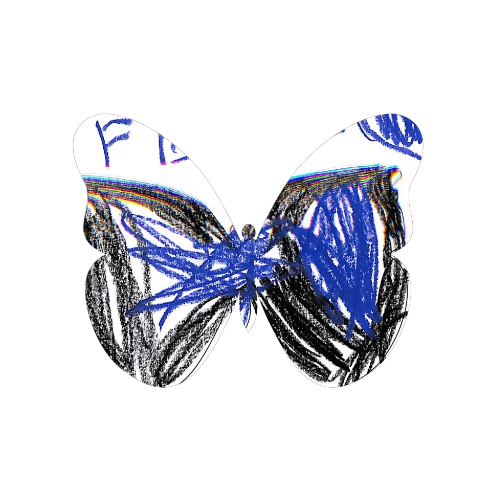 Original Butterfly Image