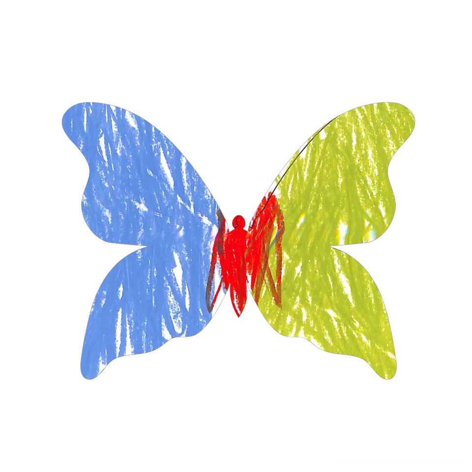 Original Butterfly Image