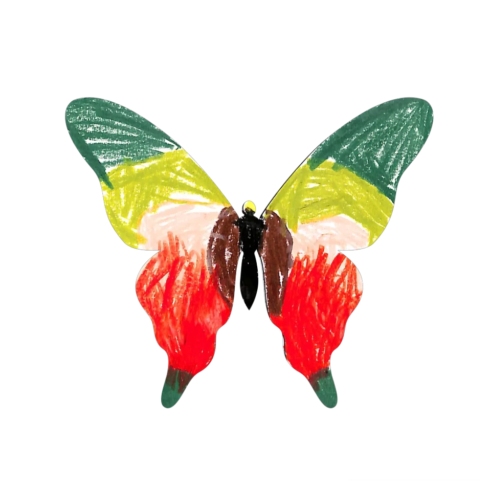 Original Butterfly Image