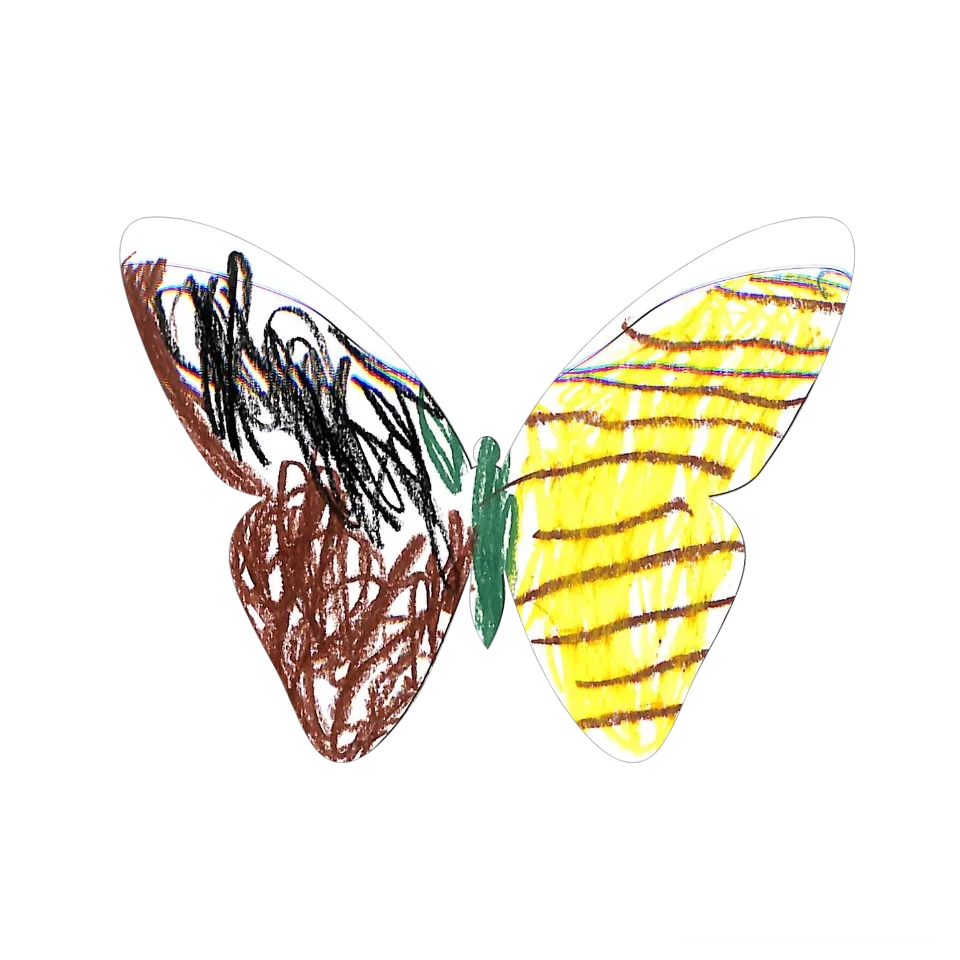 Original Butterfly Image