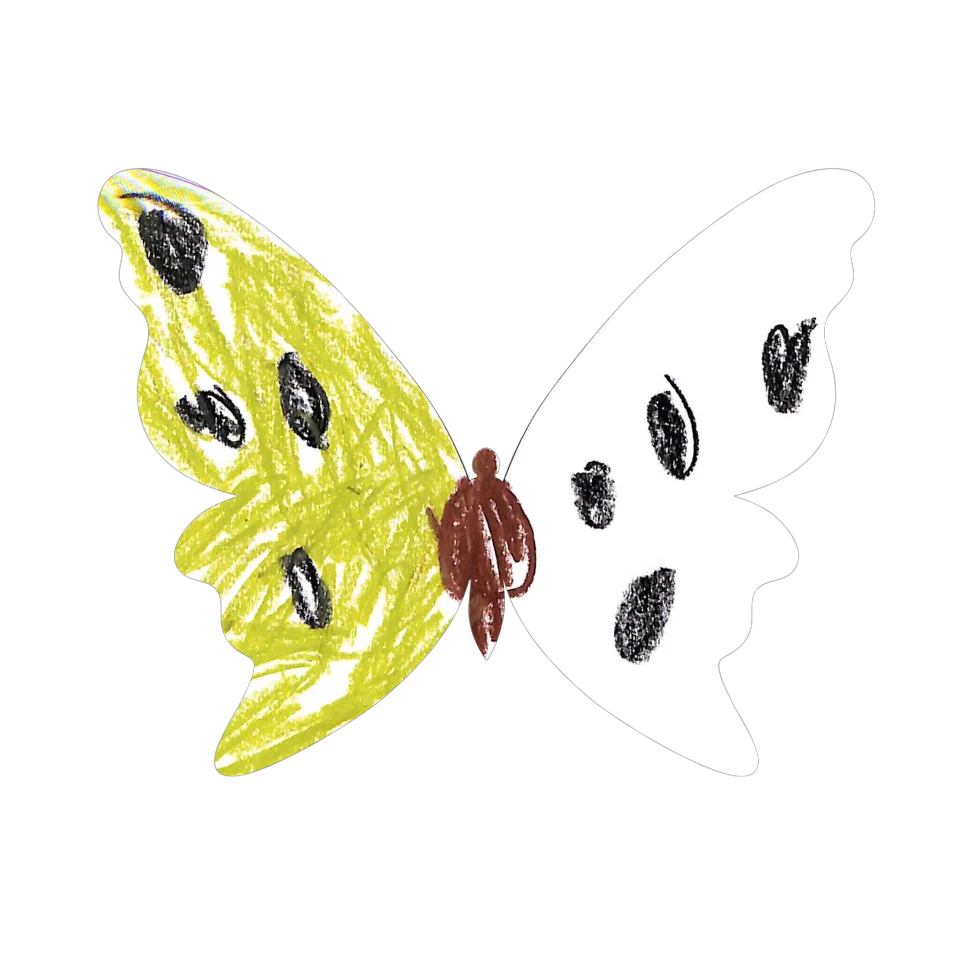 Original Butterfly Image