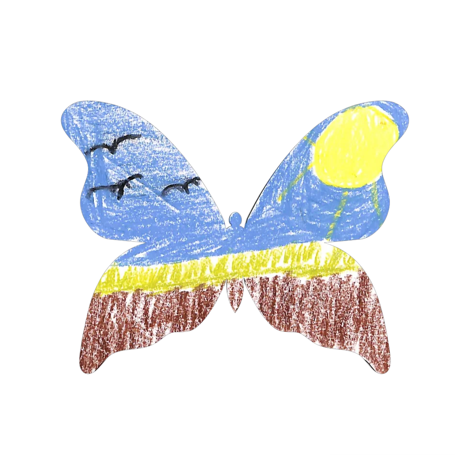 Original Butterfly Image